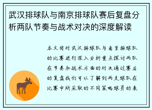 武汉排球队与南京排球队赛后复盘分析两队节奏与战术对决的深度解读